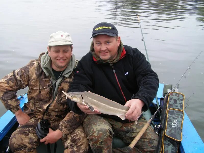 На что ловить осетра на рыбалке