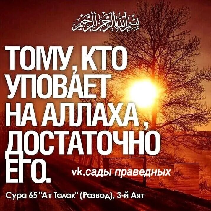 Уповать на всевышнего. Уповай на Всевышнего хадисы. Упование на Аллаха. Уповаю на Всевышнего. Хадисы про упование на Аллаха.