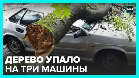 Что делать если дерево упало на машину
