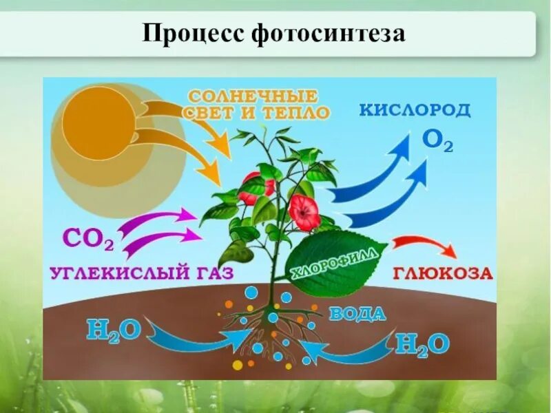 Кислород появился в результате
