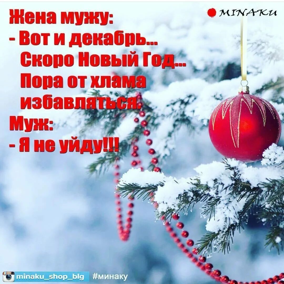 Картинки новый год цитаты. Цитаты про новый год. новогодние цитаты. скоро праздник новый год. новогодние афоризмы.
