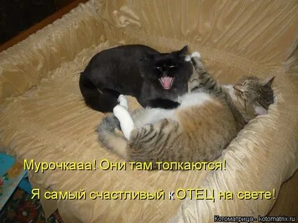 Там штуку