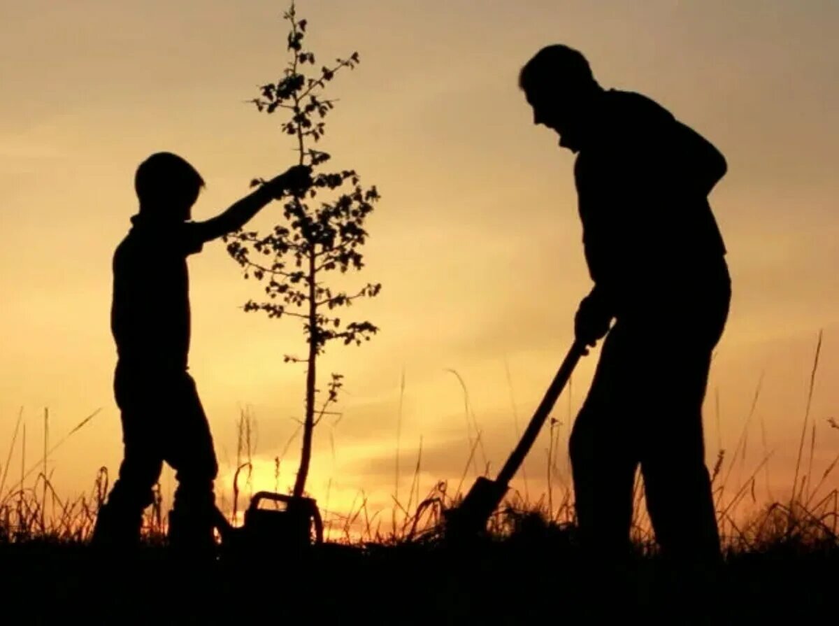 Сын природы читать. Отец и сын сажают дерево. Отец сажает дерево. Отец и сын. Высадка деревьев силуэт.