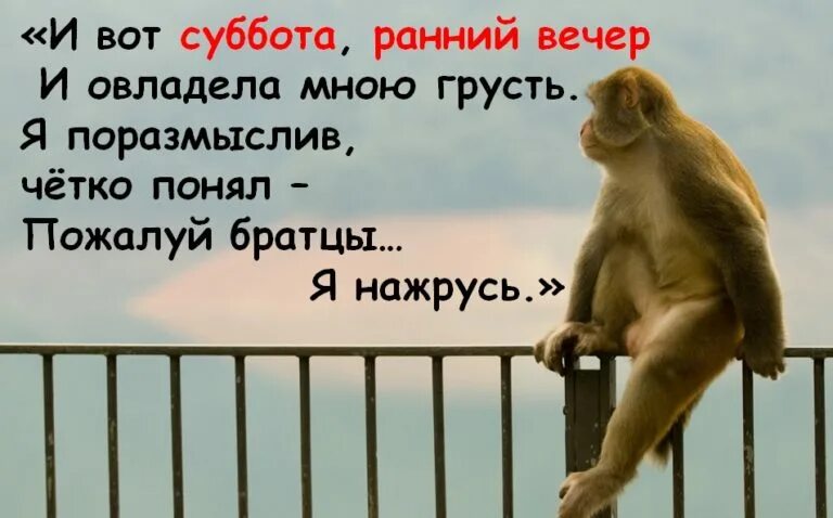 Напоминает раннего
