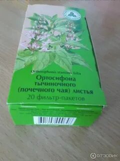 Ортосифон тычиночный почечный применение