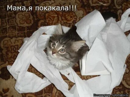 Я покакала