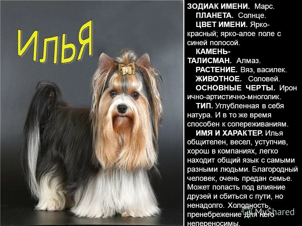 описание знака зодиака лев. астрологические имена. ольга перевод имени. что означает имя ольга. характеристика по гороскопу.