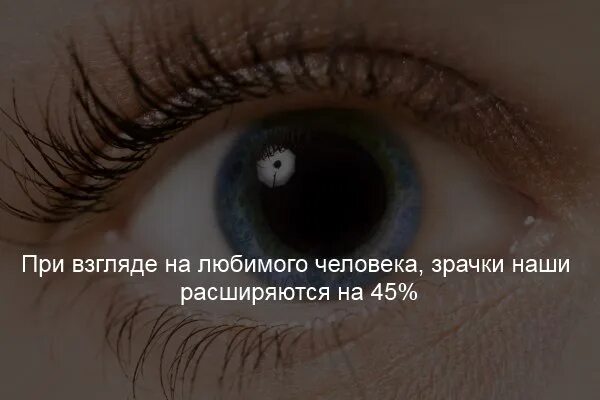 Какие люди любят историю