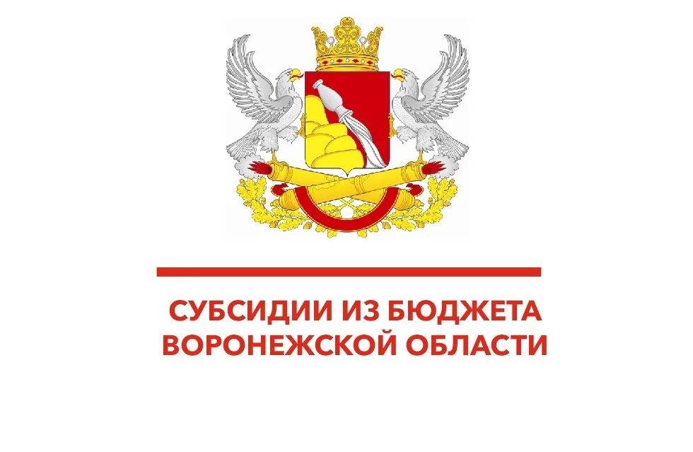 сайт воронежского департамента социальной защиты. министерство социальной защиты совещание. департамент соцзащиты воронеж. департамент социальной защиты воронеж. правительство воронежской области логотип.