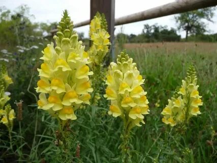 i?id=1ac755f58475d2f617cd742b9c5a57da-66