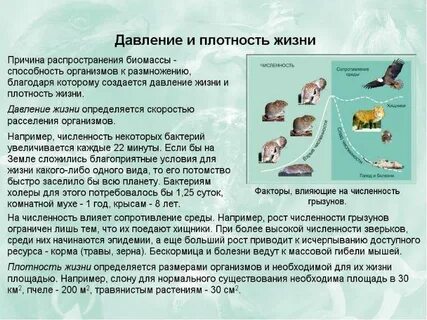 Факторы давления жизни