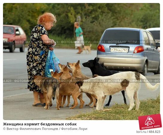 Женщина кормит собаку. Женщина кормит бездомную собаку. Женщина кормит собаку на улице. Девушка кормит собаку.
