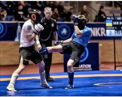 Чемпионат по панкратиону 2024