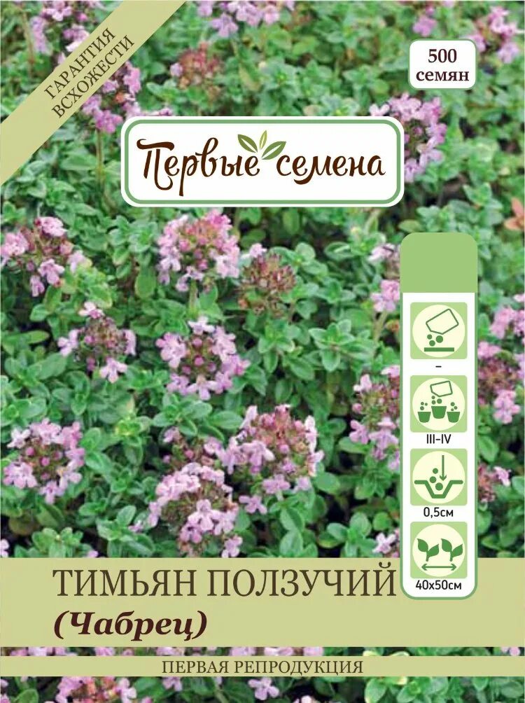 Тимьян парпл семена. Тимьян ползучий радужный. Боровой чабрец. Thymus serpyllum 'magic carpet'. Семена тимьян "лимонный", пряность,.