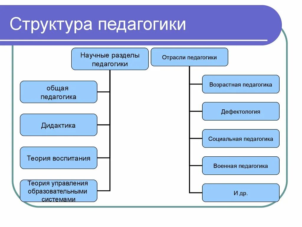 Входит в состав других систем. Структура педагогической науки схема. Какова структура педагогики. Структурная схема отраслей педагогической науки. Основные отрасли педагогики схема.