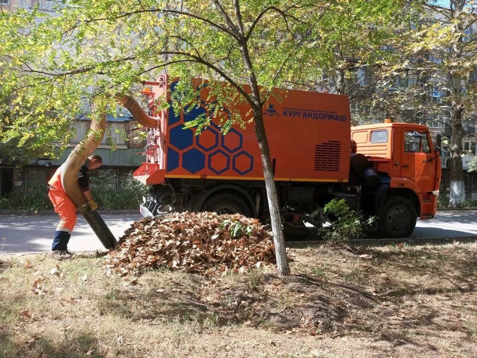 Вывоз листьев