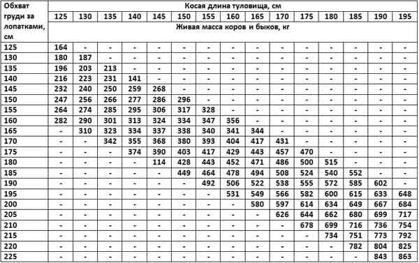 Живой вес быка цена. Таблица измерения крупного рогатого скота живым весом. Таблица измерения Быков живым весом рулеткой. Таблица замера КРС живым. Таблица КРС живой вес быка.