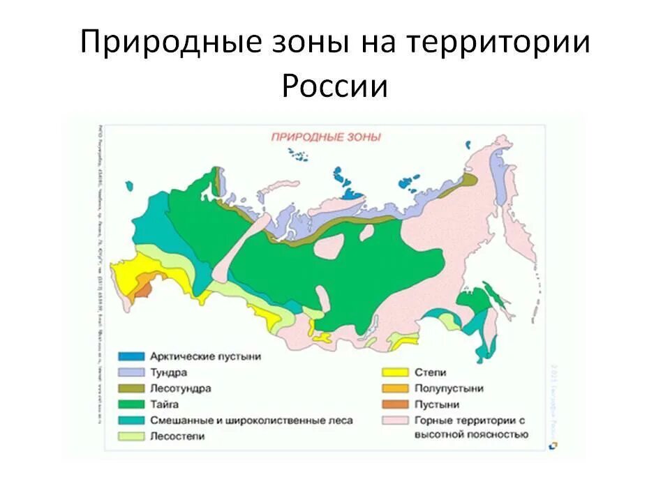 Природные зоны канады занимающие наибольшую площадь. Карта природных зон России площадь. Контурная карта России природные зоны и ресурсы. Карта природных зон России широколиственные леса. Географическая карта России с природными зонами.