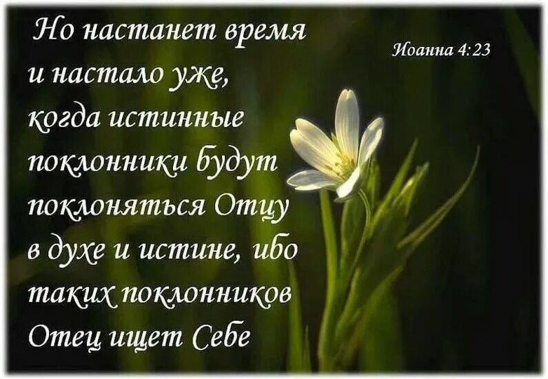 Время настало слова. Поклоняться в духе и истине. Поклонение Богу в духе и истине. Поклоняться Богу в духе и истине. Господу Богу твоему поклоняйся и ему одному служи.