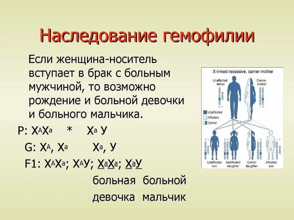 Можно ли быть носителем