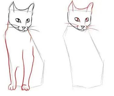 Коте нарисовать поэтапно
