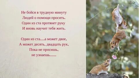 Поддержка в трудную минуту своими словами женщине