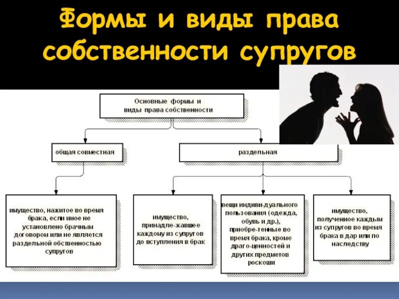 Собственность бывших супругов. Виды имущества супругов. Виды собственности супругов. Объект совместного имущества супругов. Права на общую собственность супругов.