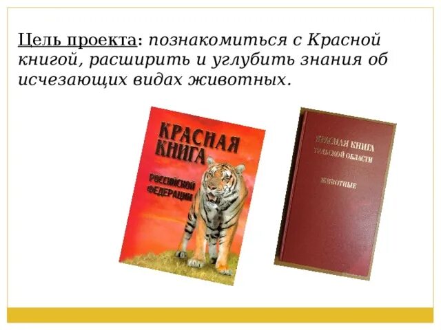 Красная книга. Проект красная книга. Проект красная книга России. Красная книга 2 класс.