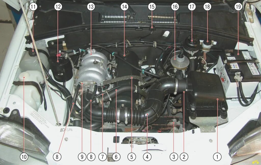Нива 2123 под капотом. Подкапотное пространство ВАЗ 2123. Мотор Нива Шевроле 2003. Подкапотное пространство Нива 2123.