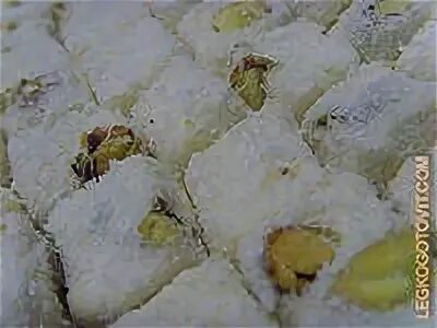 Фисташковый лукум