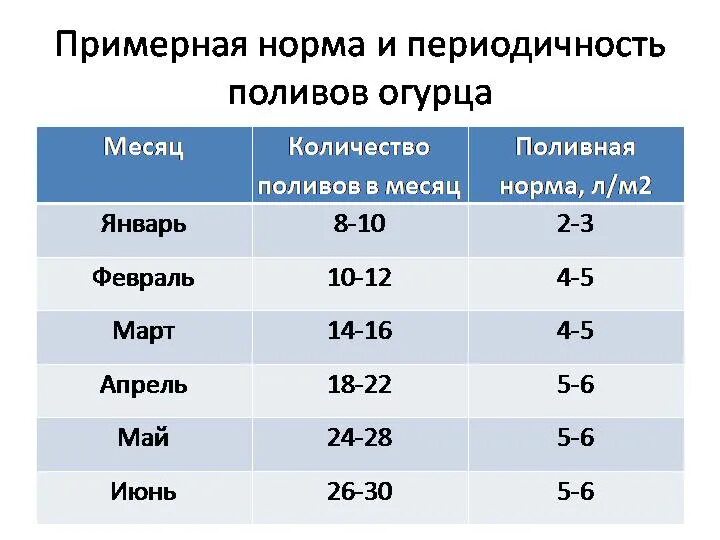 Сколько воды надо для полива. Капельный полив огурцов норма расхода воды. Норма полива огурцов в теплице при капельном поливе. Норма воды для полива огурцов в теплице. Нормы расхода воды при капельном поливе.