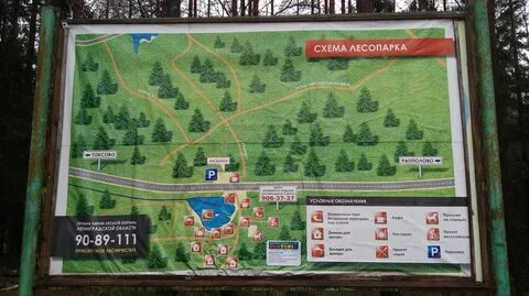 Лесничество токсово график работы