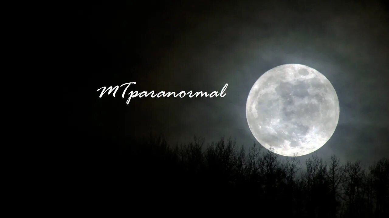 Луна ренни. Луна. Темный лес с луной. Фото тьма Луна. Scary Moon.