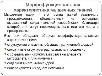 Морфофункциональная классификация