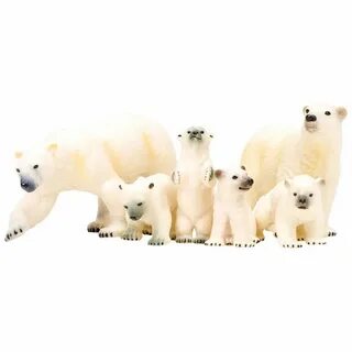 Bear 6
