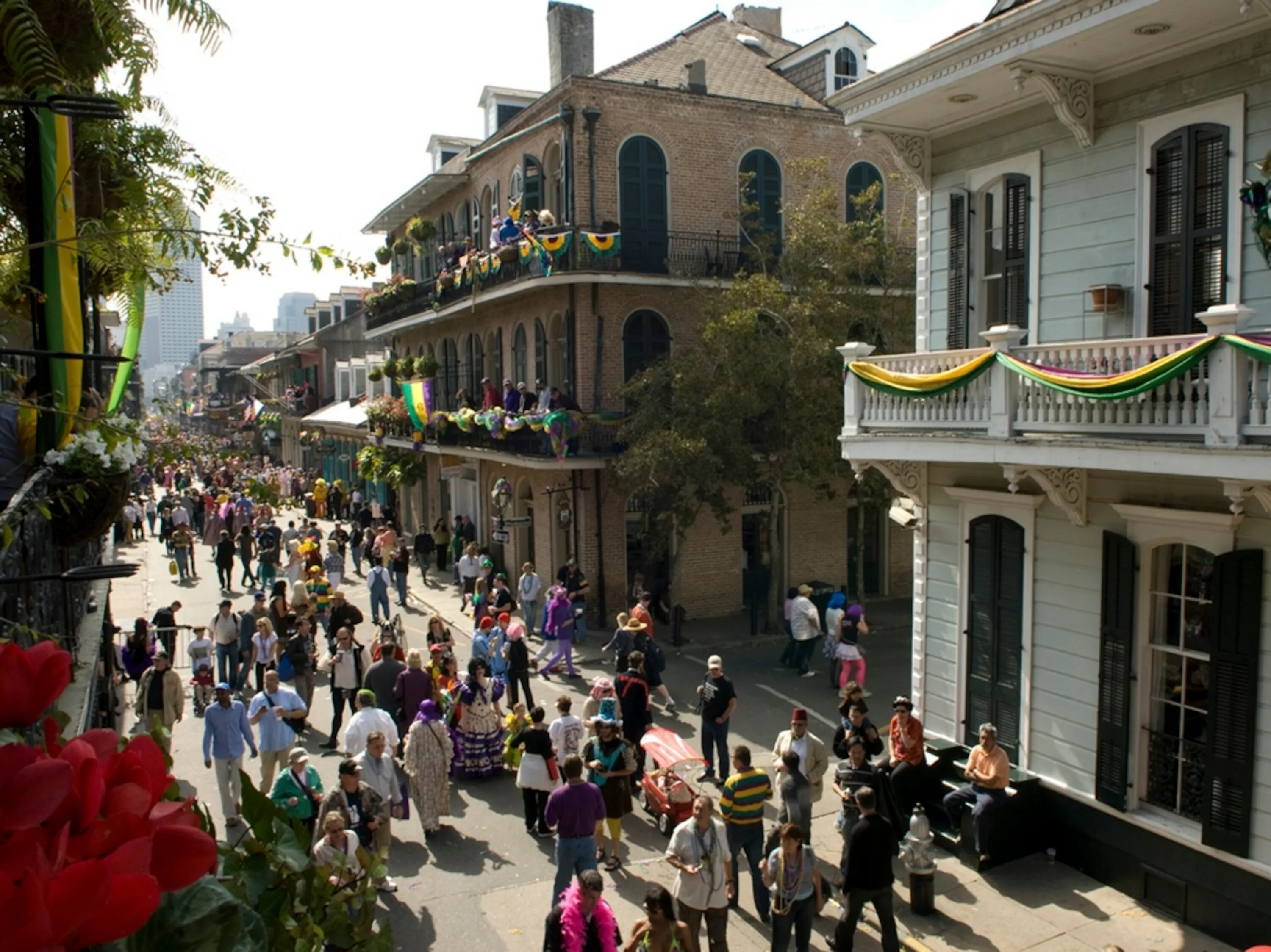 Mardi Gras Photos -- National Geographic