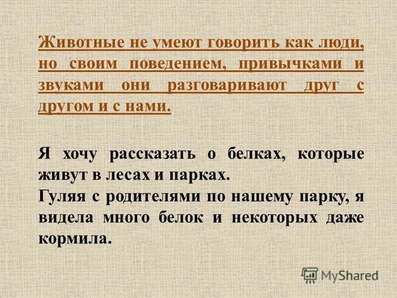 Что говорят животные людям. Животные умеющие говорить. Если животные умеют говорить. Что бы сказали животные если бы умели говорить. Если бы животные умели говорить 3 класс.