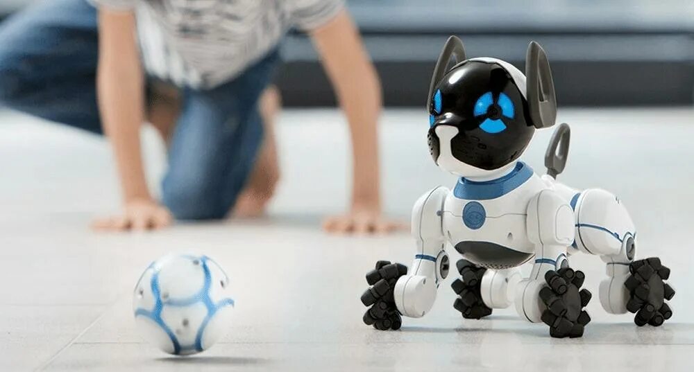 Робот WOWWEE собачка чип 0805eu. Робот WOWWEE Spidersapien. Робот WOWWEE Roboboa. Современные игрушки. Роботы собаки на открытии игр