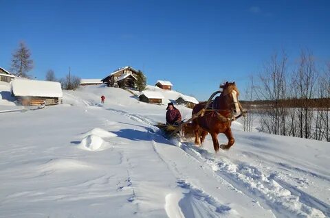 По северу по вольному