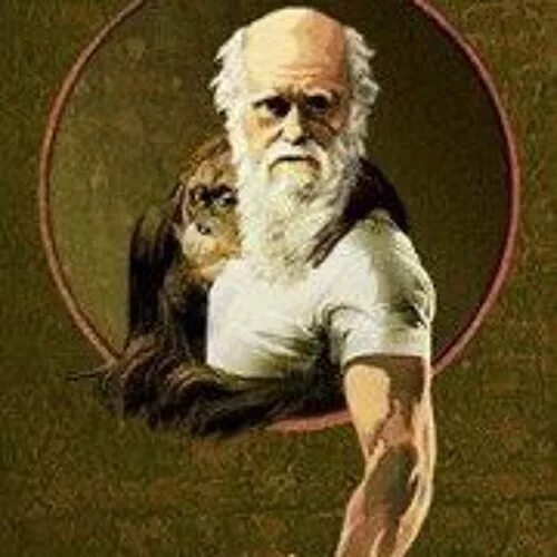 Дарвин мем. Дарвин мем. Естественный отбор дарвин мем. Дарвин мемы. Дарвин одобряет.
