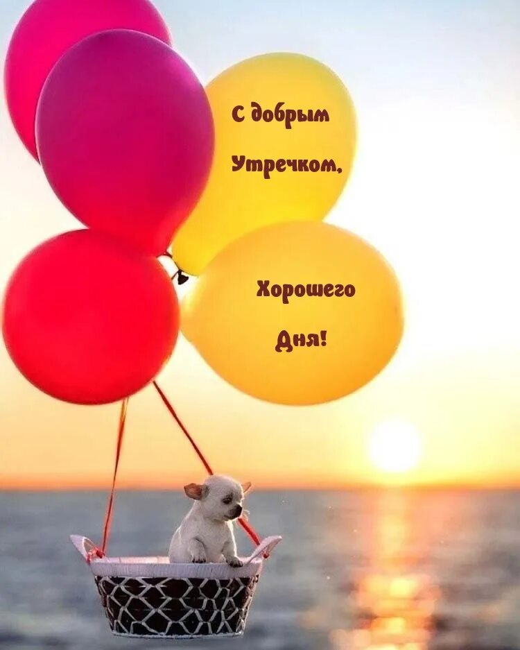 Веселое яркое утро. Море и воздушные шары. Счастье с воздушными шарами. Радость с воздушными шарами. Воздушное настроение.