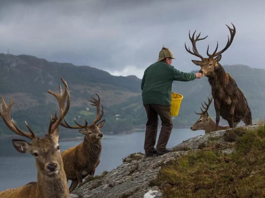 Нэшнл Джиогрэфик. Картинки National Geographic. Фото года National Geographic. Лучшие фотографии National Geographic.