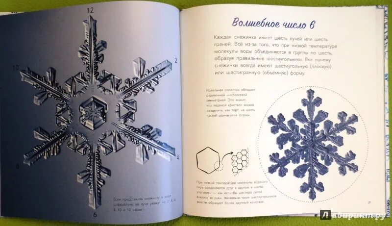 История снежинки книга