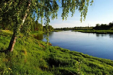 Не берегу реки