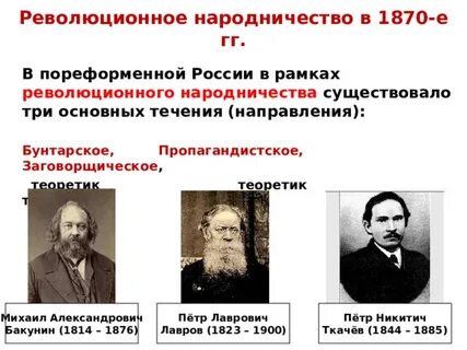 Взгляды революционеров демократов