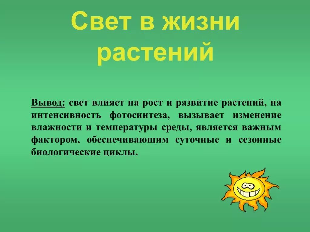 Свет 2 класс презентация. Роль света в жизни растений. Вывод свет в жизни растений. Свет влияет на растения. Влияние освещения на растения.