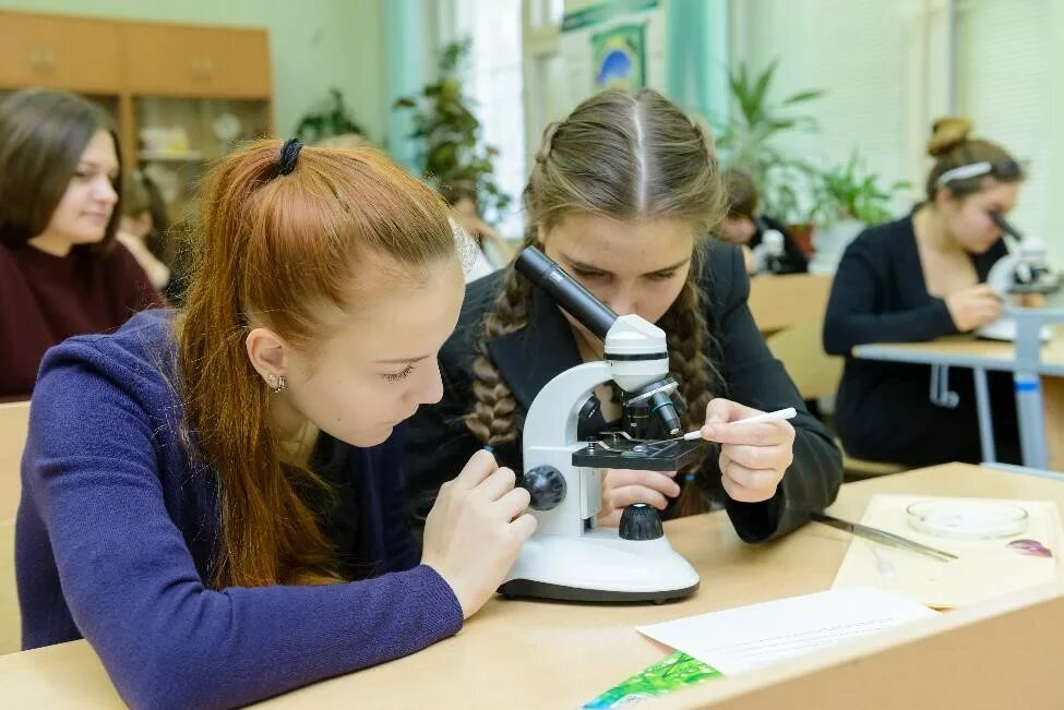 Инженерный класс. Темы исследовательских работ. Жизненный цикл научно-исследовательского проекта. Перечислите этапы исследования в правильной последовательности. Юные ньютоны фестиваль исследовательских проектов.