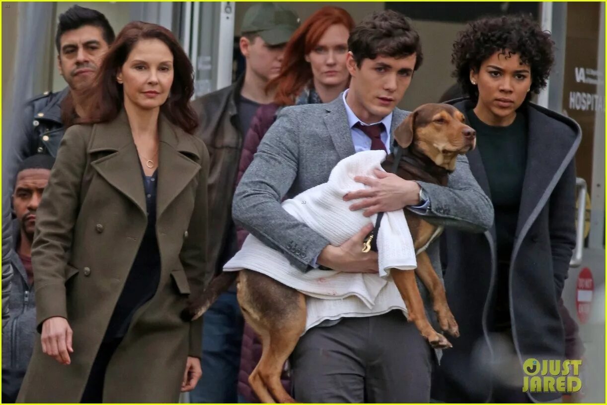 Путь домой анвап. A dogs way home фильм. путь домой 2019. путь домой фильм 2019. дорога домой фильм 2019.