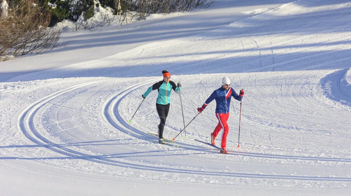 Беговые лыжи Словения. Cross Country Skiing. Skating and Skiing. Cross Country Skiing VR игра.