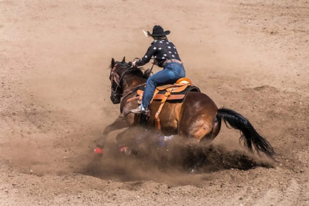 The rodeo is a really exciting event. Родео в Хьюстоне. Фестиваль родео в Хьюстоне. Родео в постели. Бокс перед выездом лошади на родео.